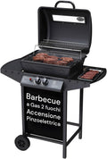 Avilia Barbecue a Gas 2 Fuochi John – BBQ da Esterno in Acciaio Nero Opaco con Griglia Inox, Termometro, Cappa, Ruote e Accensione Piezoelettrica, Barbecue a Gas Esterno Compatto