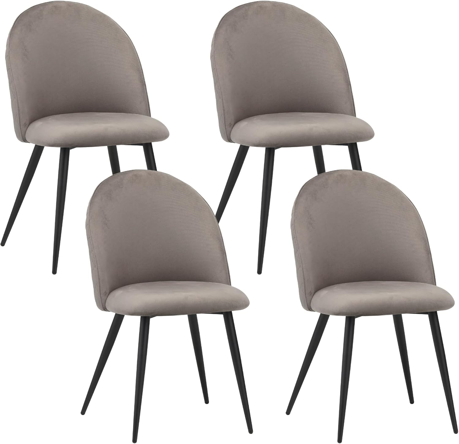 Albatros sedie da sala da pranzo CAPO con copertura in velluto, set di 4, grigio - design vintage, elegante, copertura in velluto, sedia imbottita approvata SGS - sedia da cucina moderna